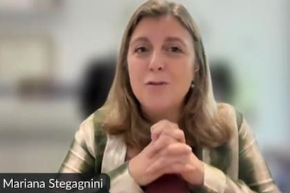 Stegagnini presentó el informe sectorial y de posicionamiento que hace referencia a las brechas de género