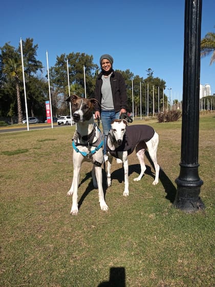 Stephanie Monte adoptó a Stitch de cachorro; enseguida empezó a notar como su barrio se pobló de galgos
