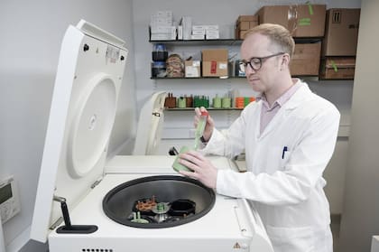 Stephen Wallace, autor principal del estudio, recolectando bacterias de E.coli para analizarlas: creó un método que las usa para transformar plástico en paracetamol