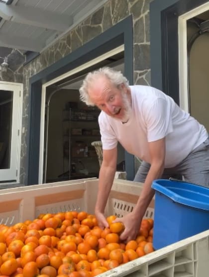 Stern cosecha mandarinas en su rancho de California y sus videos causan furor en las redes (Foto: Captura de video / Instagram @realdanielstern)