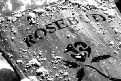 Steven Spielberg compró uno de los trineos que se usaron en la película debido a su importancia en la historia del cine