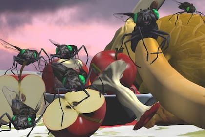 Still del video "La piel es una fruta que se pela sola", de la artista Mónica Heller
