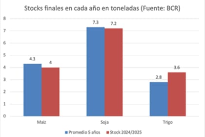 Stock finales en cada año en toneladas