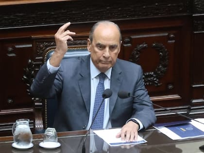 Stolbizer, en el texto presentado, apunta directamente al jefe de gabinete, Guillermo Francos, al consultarle por qué hay presupuesto para el acto de Milei y no para la Ley de Emergencia en Discapacidad