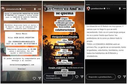 Stories de famosos que están reclamando por los incendios en el Bolsón