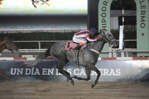 República Argentina, el gran premio que busca un supercampeón en Palermo