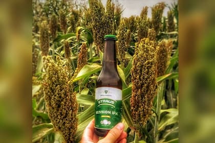 Strauss ofrece una gran variedad de sabores (Foto Instagram @cervezastraus)