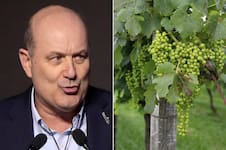 “Menos oportunidades para la corrupción”: Sturzenegger destacó la fuerte desregulación del Gobierno para la industria del vino