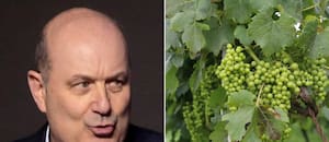 Sturzenegger destacó la fuerte desregulación del Gobierno para la industria del vino