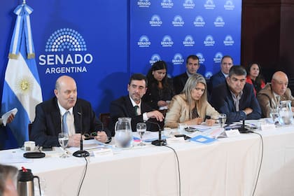 Sturzenegger en plena exposición