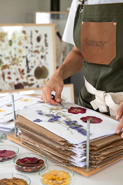 Su amor por el paisaje la anima e incentiva a seguir descubriendo y aplicando nuevas especies a sus trabajos.