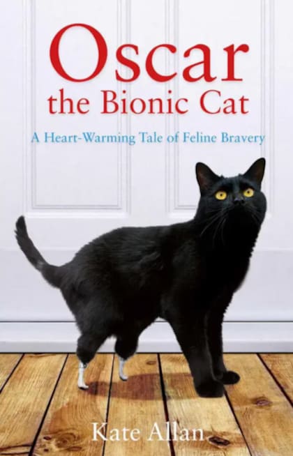 Su caso catapultó al felino a la fama mundial