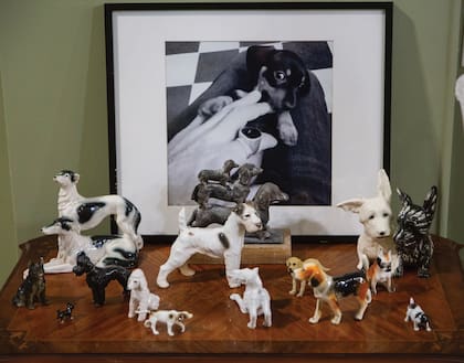 Su colección de perros en miniatura. Detrás, una imagen de su mascota Amelie.