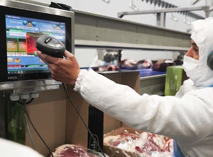 Su destino principal es China con un 38%, con carne de calidad tanto congelada como enfriada, donde no hacen trading sino que tienen cuatro clientes fijos con quienes hacen convenios de abastecimiento