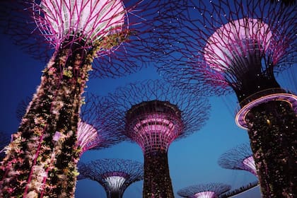 Su economía estable, educación y políticas ambientales son algunos aspectos en los que se destaca (Foto Pexels)