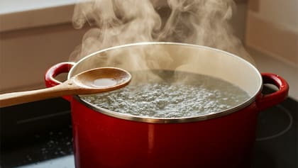 Wuth señaló que las ollas y cacerolas no fueron diseñadas para el almacenamiento y recordó que “no son herméticas”