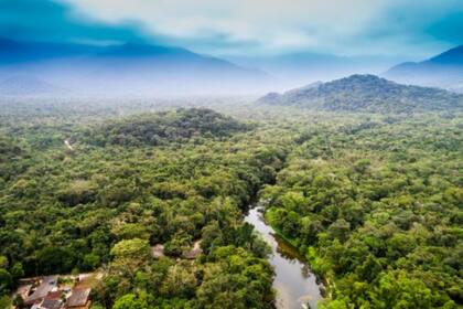 Su extensión cubre casi el 40% de América del Sur