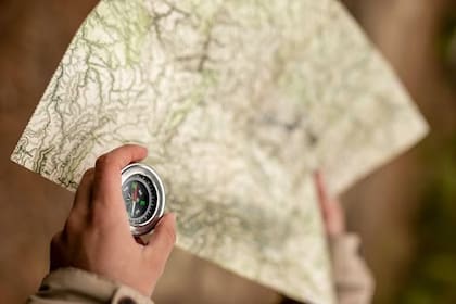 Su interés va más allá de la simple búsqueda de objetos