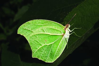 Su libro "El mundo de lo pequeño" se financió colaborativamente
