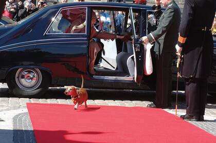 Su Majestad y el príncipe Henrik bajan del coche oficial para abordar el barco real Dannebrog, y una de sus mascotas se les adelanta corriendo por la alfombra roja. Era el 28 de abril de 2006.