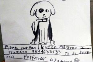 La historia de la abuela que recuperó a su perro perdido gracias al tierno dibujo de su nieta