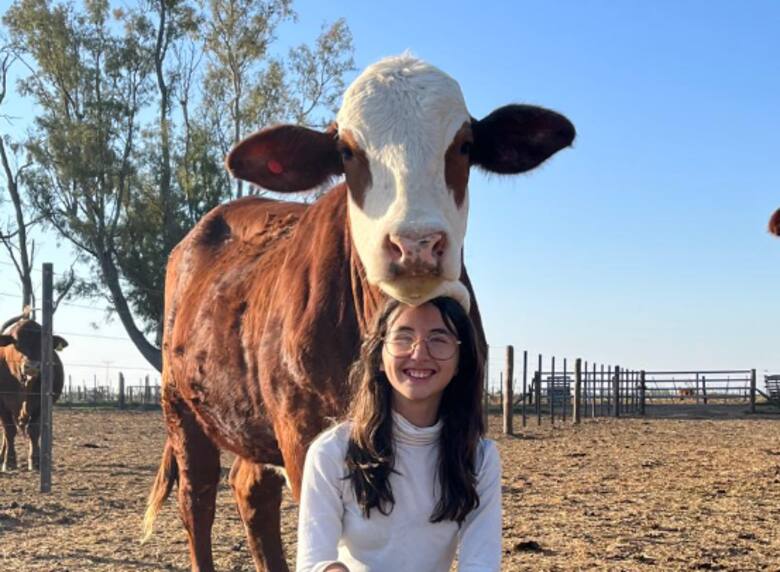 Talento precoz en la ganadería