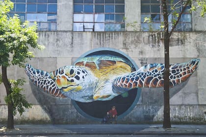 Su primer gran hit: la tortuga en 3D del mural que bautizó como Pedro Luján y su perro.