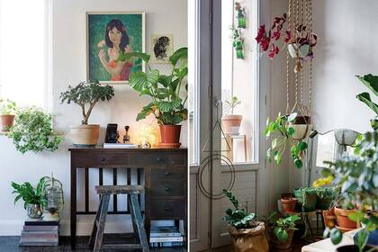 Sumar una cuota verde en el escritorio