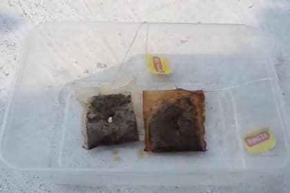 Su uso contribuye al control de plagas y actúa como barrera frente a hongos y malezas