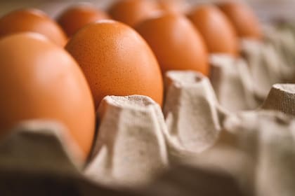 Su versatilidad en la cocina y su capacidad para generar saciedad lo hacen un alimento clave en la cocina (Foto ilustrativa: PIXABAY)