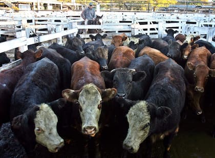 Suba ocasional de precios en el mercado