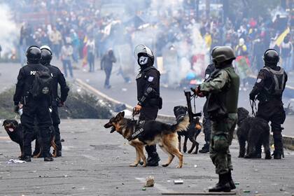 La unidad K9 de la policía ecuatoriana durante los enfrentamientos