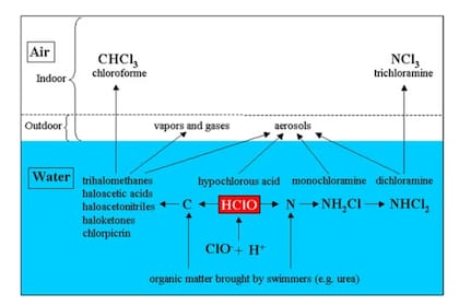 Subproductos de la cloración presentes en el agua y el aire de las piscinas cloradas
