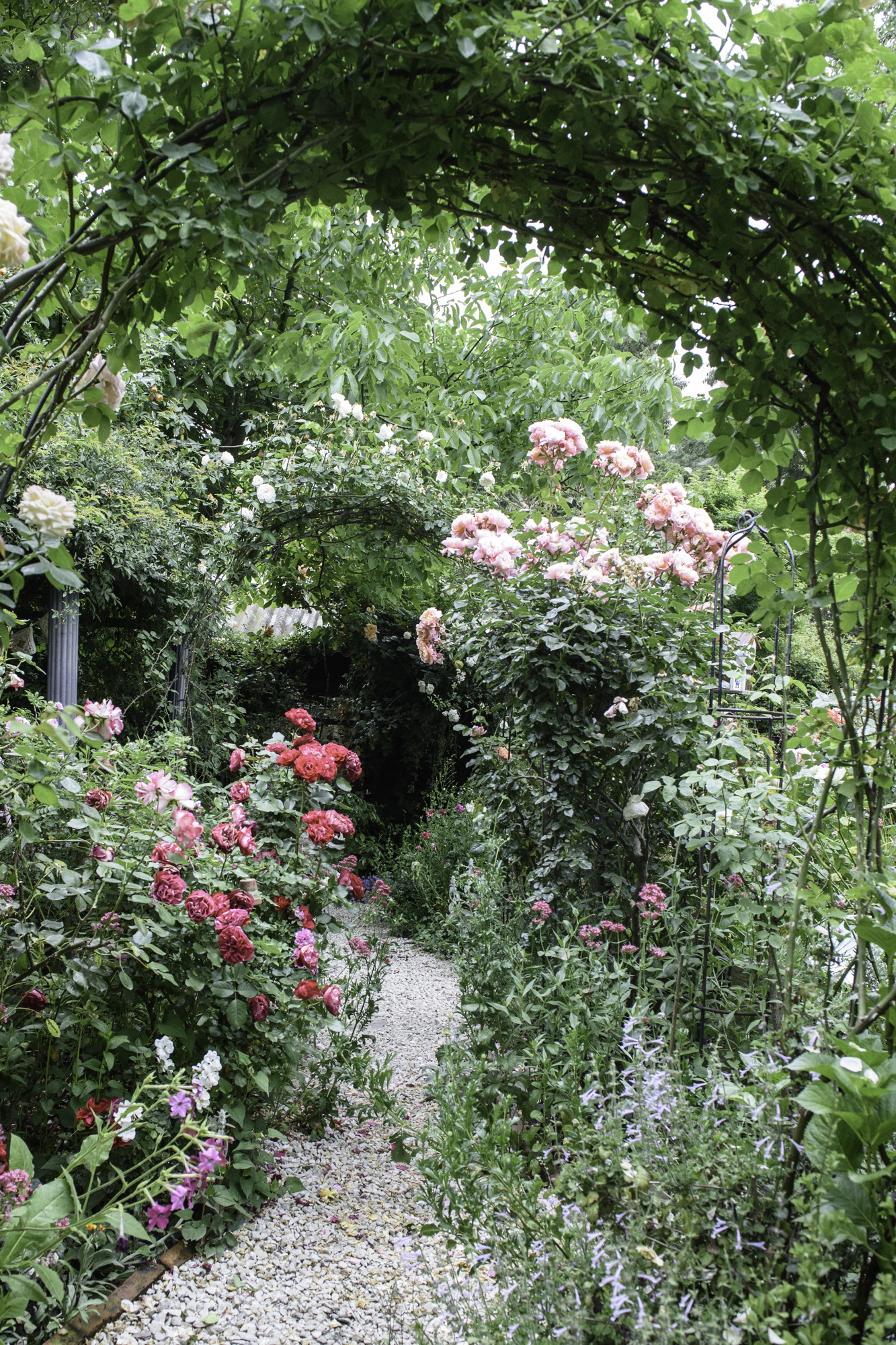 Sucesión de arcos que remarcan un sendero entre las rosas.