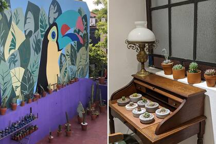 Suculentas del Soho, una terraza llena de plantas en el corazón de un barrio que reúne diseño, gastronomía y cultura.