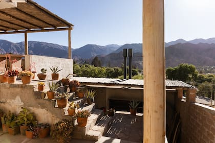 Suculentas en macetas de barro, a sus anchas en este clima seco