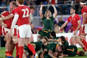 Mundial de rugby. Sudáfrica venció por 19-16 a Gales y está en la final
