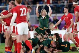 Mundial de rugby. Sudáfrica venció por 19-16 a Gales y está en la final