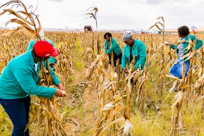 Sudáfrica necesita tecnología agrícola