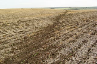 Hay un costo oculto en la erosión del suelo