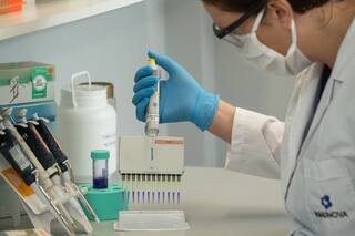 Ciencia: ¿por qué los gemelos con Covid ayudan a la investigación médica?