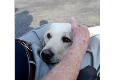 Sully recibe las caricias de George Bush