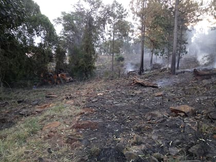 Sumado a la falta de agua que produjo una sequía extrema, la imprudencia o a la negligencia de algunos, empezó a generar cada vez más incendios que afectan a pastizales, bosques implantados y también a partes de la antes impenetrable selva misionera