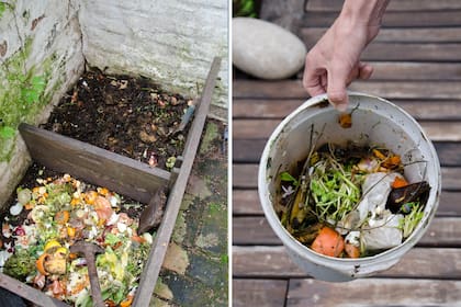 Sumar a la compostera cáscaras de verduras y frutas, infusiones y cajas de pizza y huevos, restos de poda.