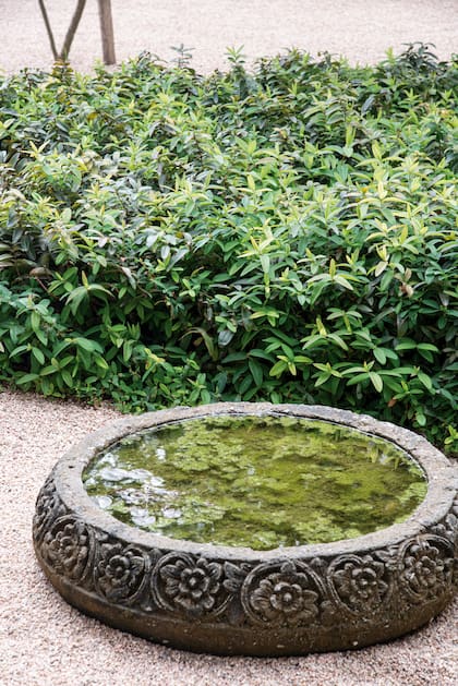 Sumar agua al jardín nos ayudará a atraerlos.