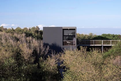 Sumergida en el bosque y apoyada en el médano, la vivienda interactúa con ambas partes.