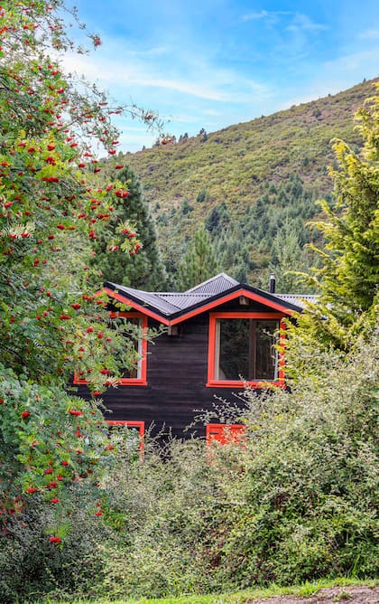 Sumergida en una hondonada, la casa se entrevera con la vegetación, cubriéndose de la mirada exterior y armando su propio entorno natural.