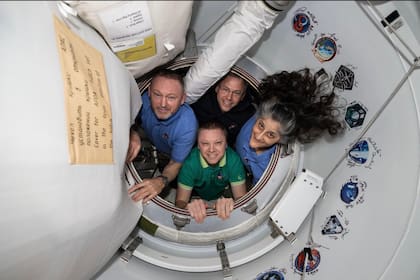 Suni Williams, Roscosmos Aleksandr Gorbunov, Nick Hague y Butch Wimore, en la nave Dragon.