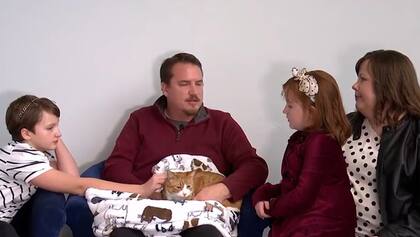 Sunny-Loo, la gata que se perdió en una mudanza y preocupó a toda una familia