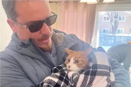 Sunny-Loo sobrevivió sin agua ni comida tres semanas, luego de que se escondiera en un sofá durante una mudanza